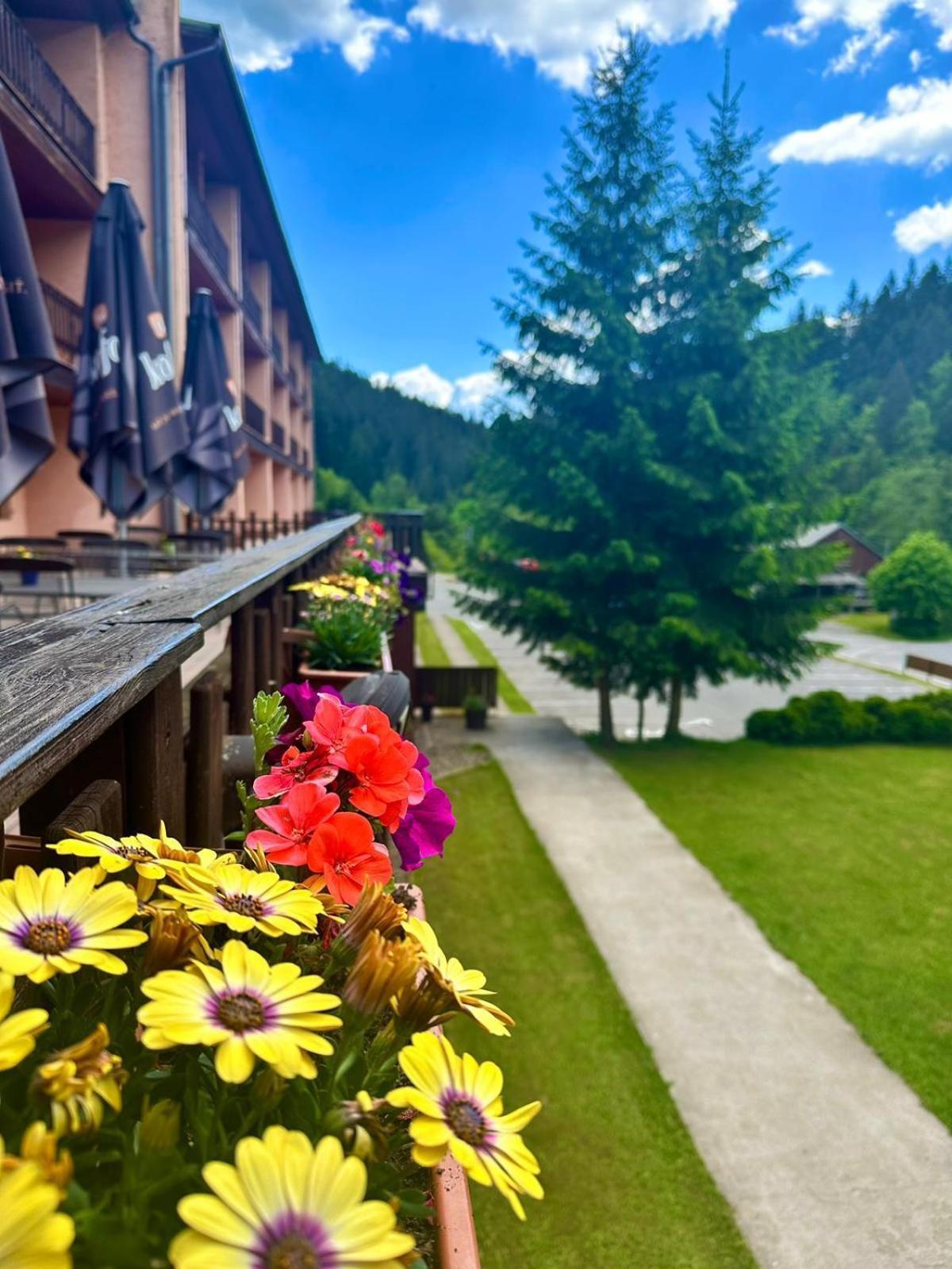 Horsky Hotel Podjavornik Papradno Экстерьер фото